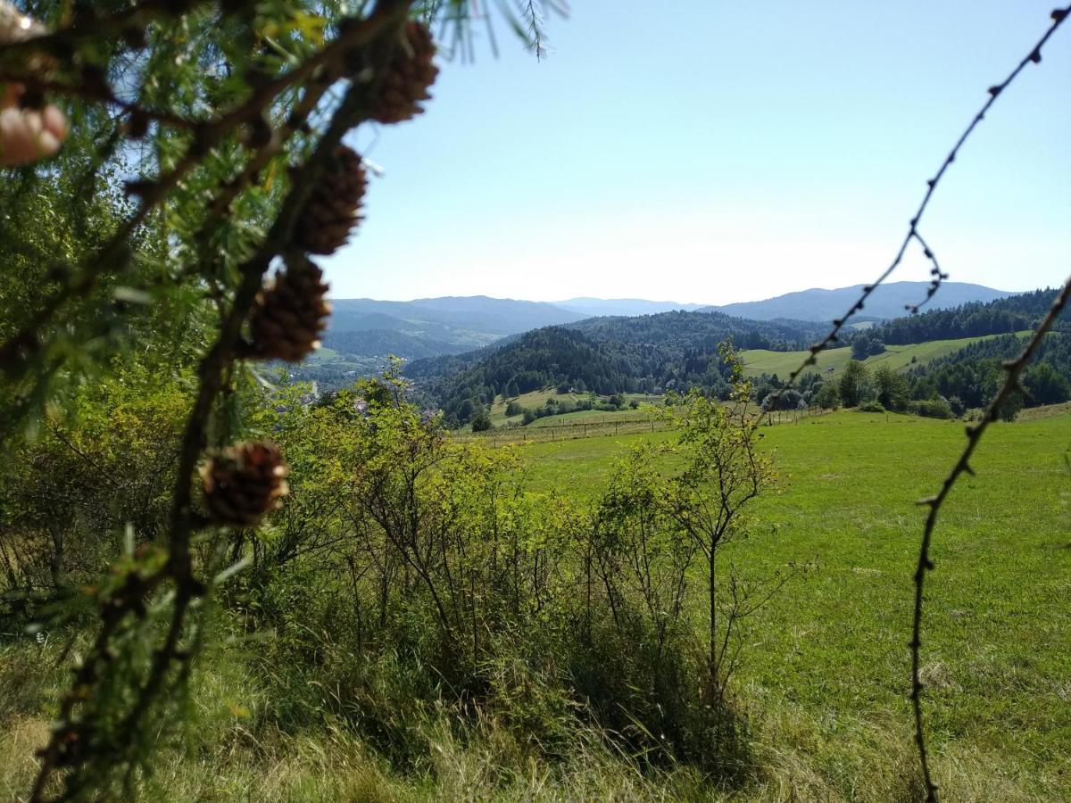 Kwatera u Somsiada Muszyna Bagian luar foto