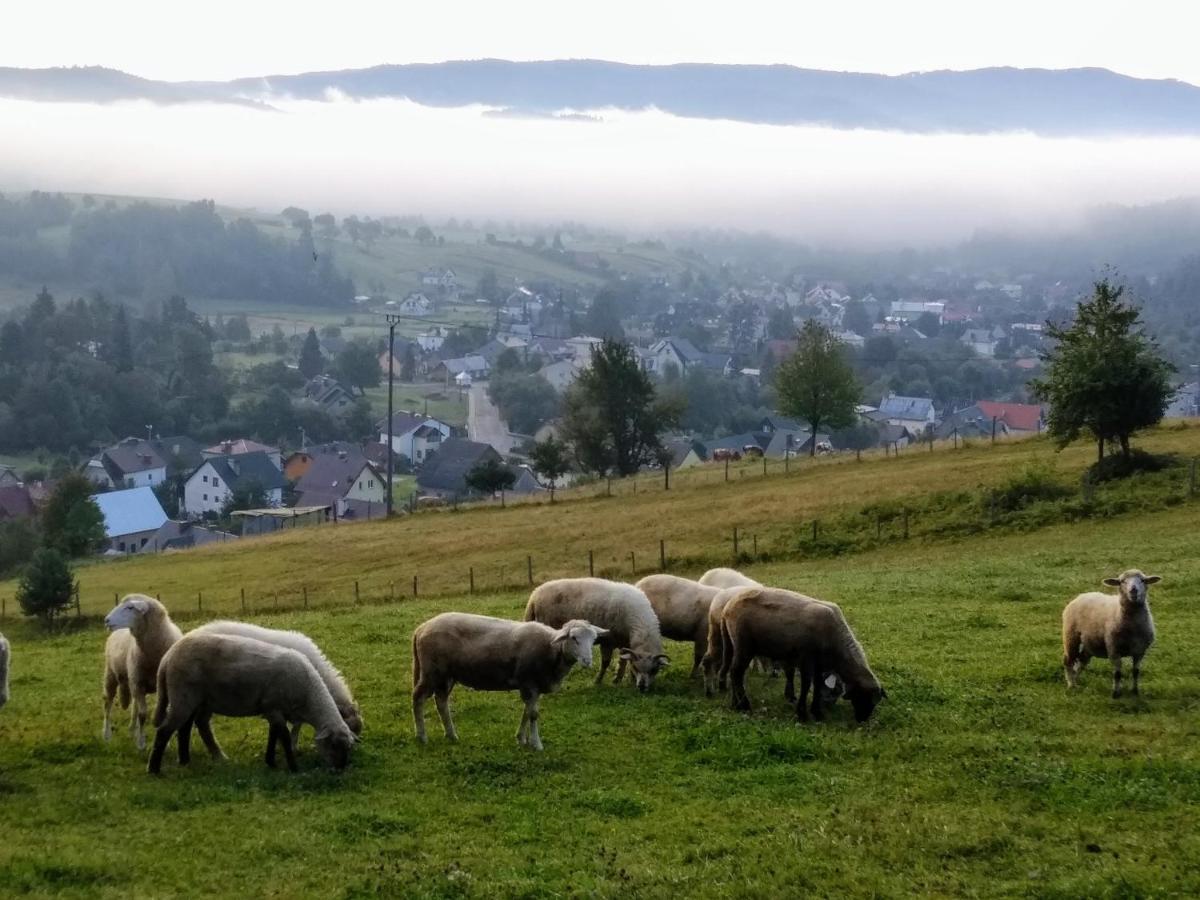 Kwatera u Somsiada Muszyna Bagian luar foto