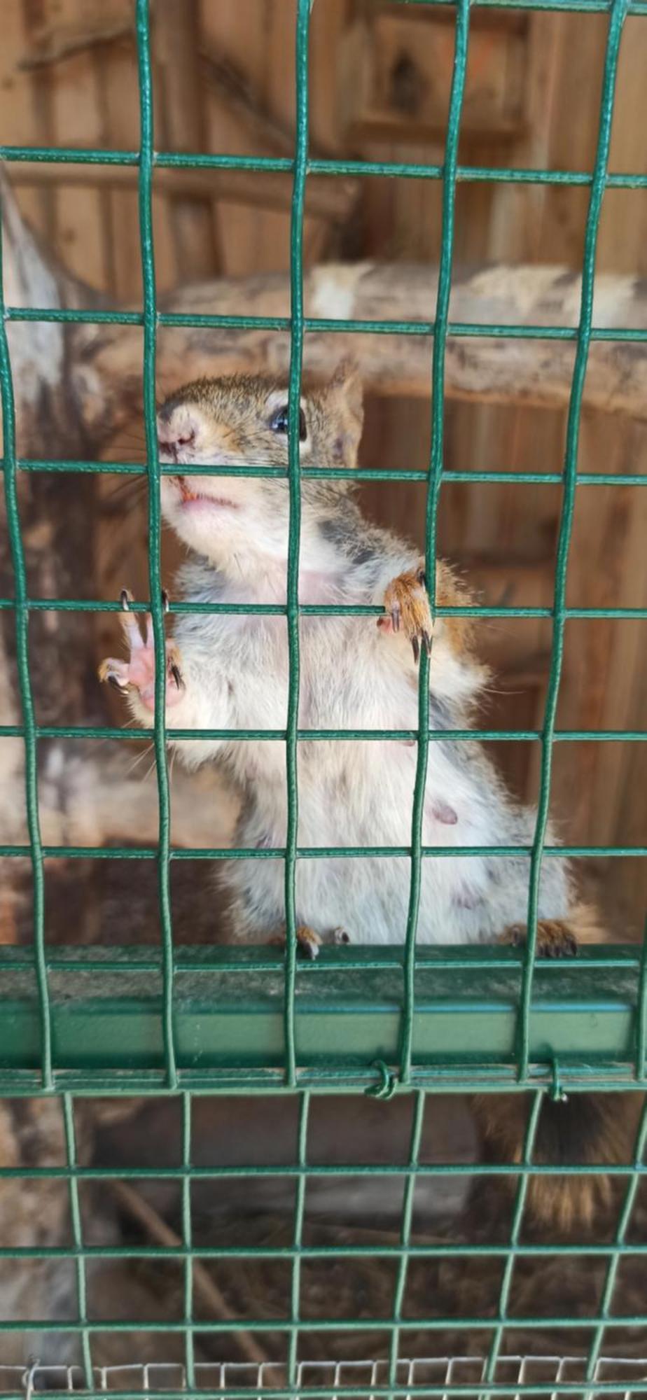 Kwatera u Somsiada Muszyna Bagian luar foto