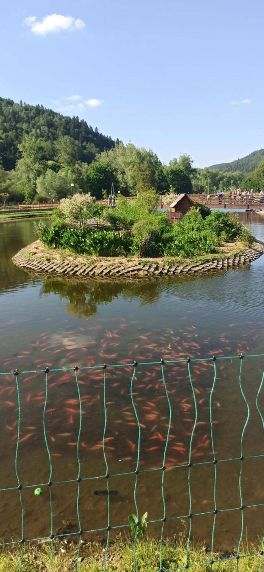 Kwatera u Somsiada Muszyna Bagian luar foto