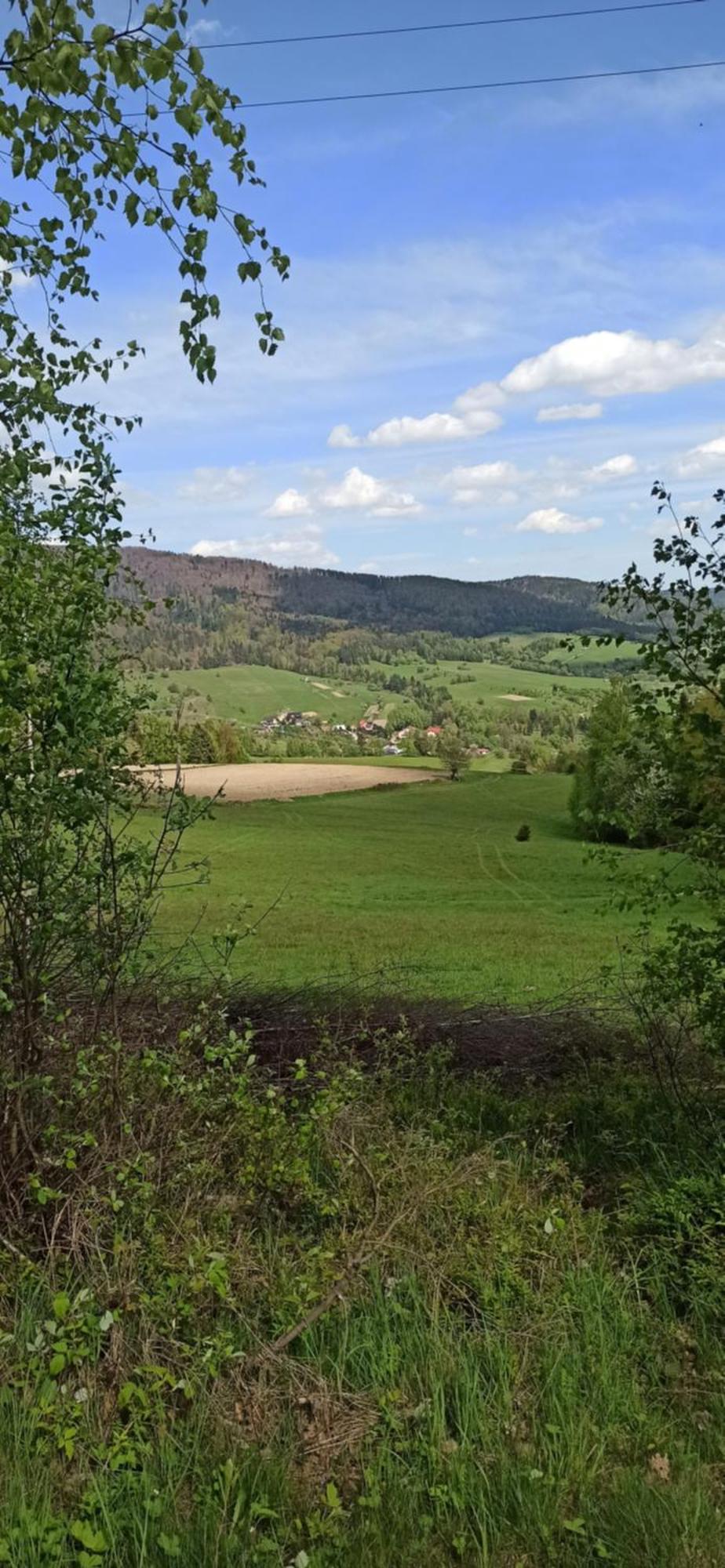 Kwatera u Somsiada Muszyna Bagian luar foto